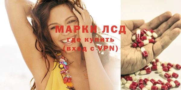 мяу мяу мука Аркадак
