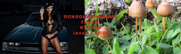 мяу мяу мука Аркадак