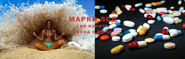 мяу мяу мука Аркадак