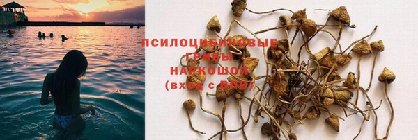 меф Арсеньев